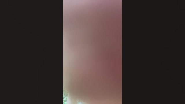 zxcvbnm74383  24-12-2022